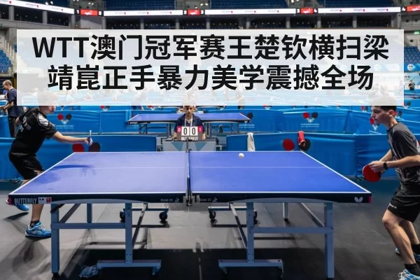 table tennis match action
